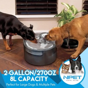 2-Gallon Large Capacity Automatic Dog Water Fountain - 8L Pet Water Dispenser with Quiet Operation